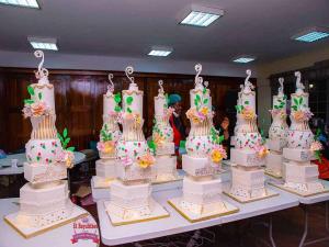 Cake Making and Sugarcraft (Beginner To Advance)